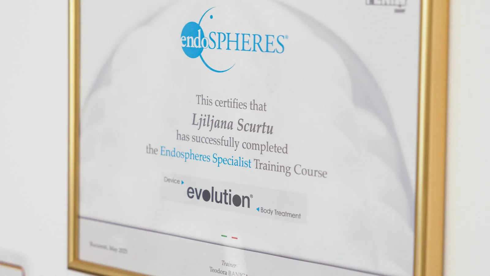 Certificatul de specialist Endospheres obținut de Ljiljana Scurtu